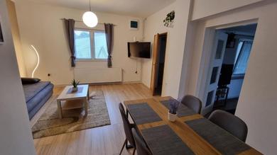 Guest house Apartment-rooms Corina near Osijek