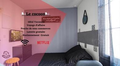 Апартаменты Le cocoon - centre ville- WIFI- parking