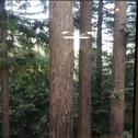 Апартаменты Retreat to the Redwoods