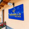 Отель Panariello Palace