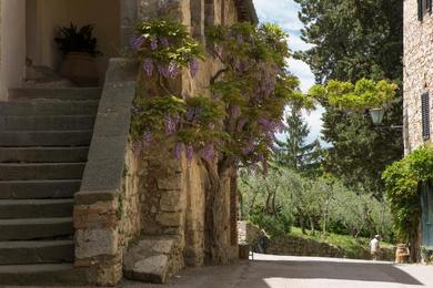 Гостевой дом Castello di Fonterutoli Wine Resort