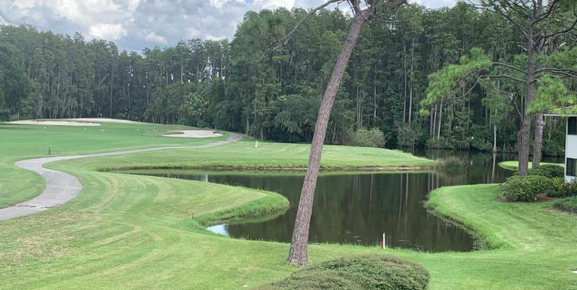 Апартаменты Saddlebrook Resort GolfView Condo Near Tampa