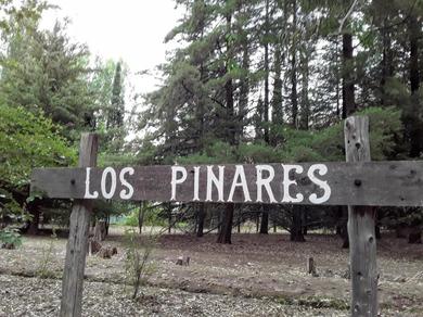 Апартаменты Los Pinares