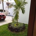 Апарт-отель Apartamento en la playa en Mazatlán
