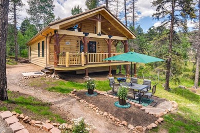 Hotel Conifer Log Cabin Rental with Private Hot Tub and Pond