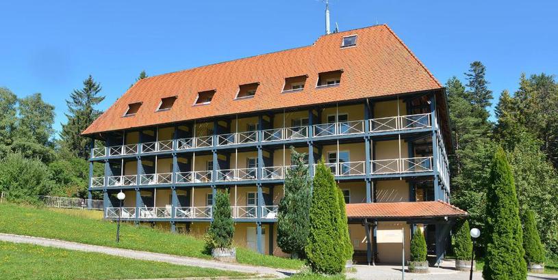 Отель Schwarzwald Parkhotel