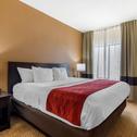 Hotel Comfort Inn & Suites Kenosha