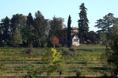 Guest house Casali del Picchio - Winery
