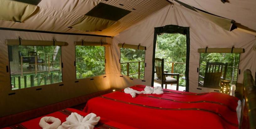 Лодж Rio Tico Safari Lodge