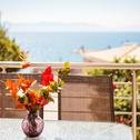 Villa Seaside Getaway - Aelia Villa's Dreamy Paradise
