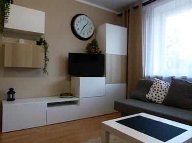 Apartments Apartament BB Czarny potok