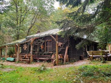 Das wilde Auwaldhaus