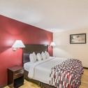 Motel Red Roof Inn & Suites Pensacola East - Milton