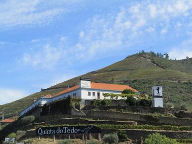 Гостевой дом Quinta do Tedo