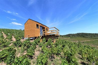 Guest house Tiny house au cœur du vignoble beaujolais