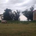 Holiday home Casa de campo con buena vista en Claromecó