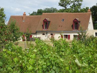 Дом отдыха Cottage du vigneron