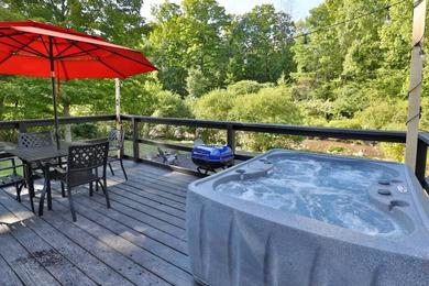 Hotel Catskill River/ Ski House with Jacuzzi and Office