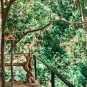 Вилла Ecocoon Tree-Villas & Yoga