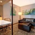 Отель SpringHill Suites by Marriott Orangeburg