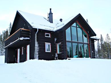 Villa Ottsjö Bear Lodge
