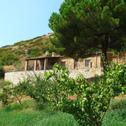 Holiday home Beautiful Farmhouse in Cetraro with Terrace