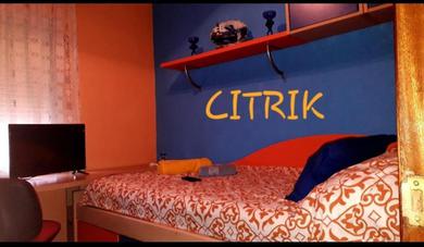 Guest house Citrik,Wanda,IFEMA& aeropuerto