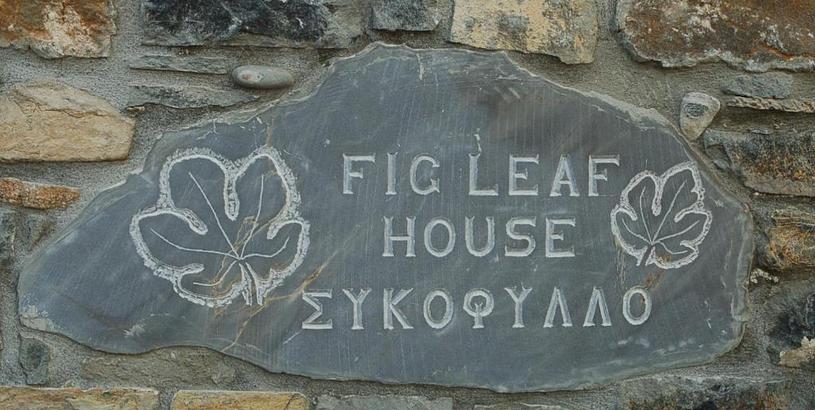 Дом отдыха Fig Leaf House