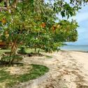 Отель White Sand Beach Resort Malbago
