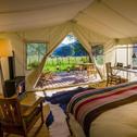 Luxury tent SP Comfort
