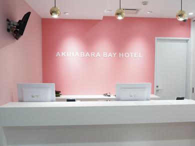 Капсульный отель Akihabara Bay Hotel (Female Only)