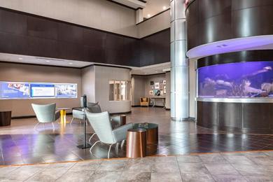 Отель SpringHill Suites by Marriott Waco Woodway