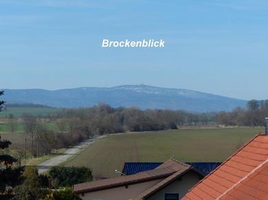 Апартаменты Ferienwohnung mit Brockenblick