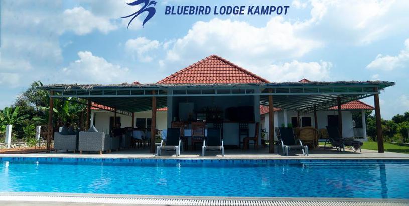 Отель Bluebird Lodge Kampot