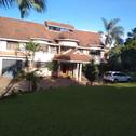 Villa Duom Palm Home
