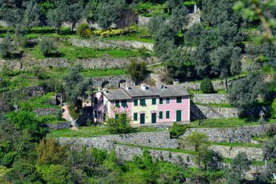 Апартаменты Villa Olivari - apt il Cedro
