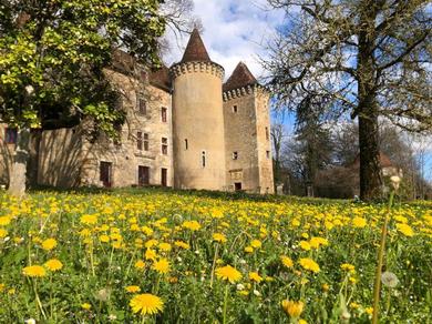 Дом отдыха Chateau de Saint Dau