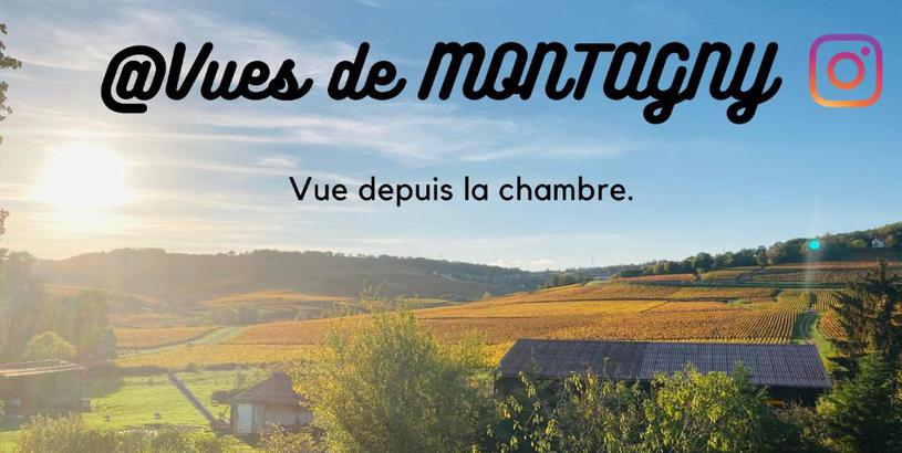 Дом отдыха House Wine&Montagny