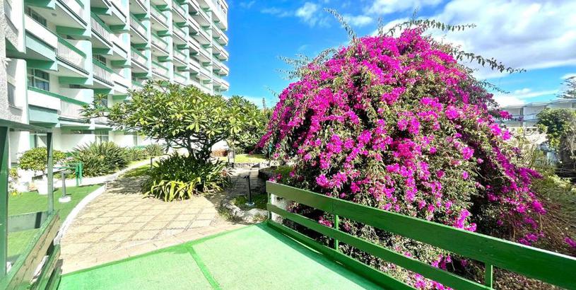 Apartments Estudio superior con grande jardín, wifi, piscinas, playa en Puerto de la Cruz