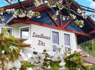 Апартаменты Landhaus Zitz