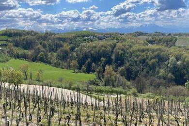 Дом отдыха Spicchio di Langa - casa indipendente tra le vigne e le Alpi