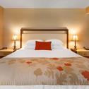 Hotel Hawthorn Suites by Wyndham Allentown-Fogelsville