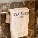 Hotel Cavallaro Hotel