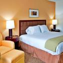 Hotel Holiday Inn Express Hotel & Suites Brooksville-I-75, an IHG Hotel