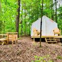 Luxury tent Tentrr State Park Site - Lake D'Arbonne State Park Site D