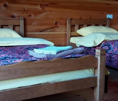 Guest house Log cabin 2 Merdovic