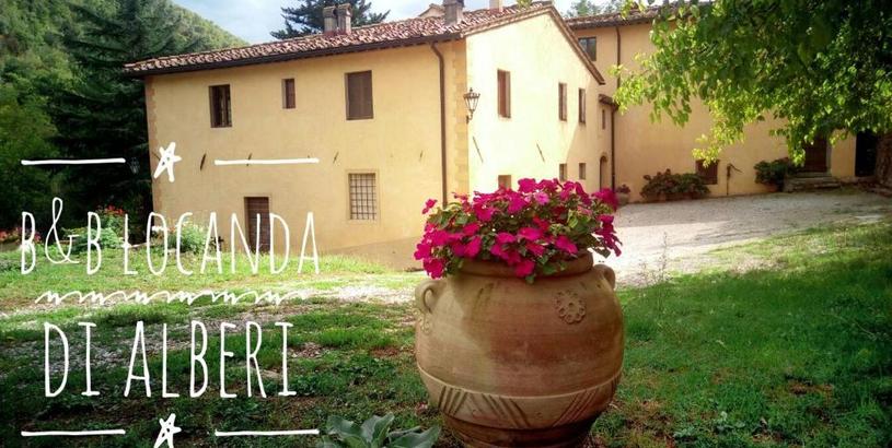 Guest house Locanda Di Alberi