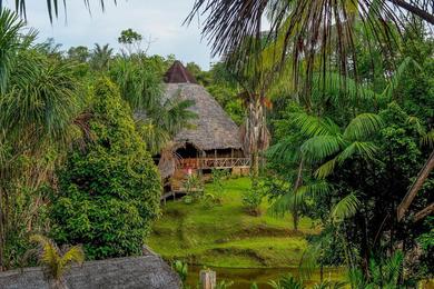 Lodge Pacaya Samiria Amazon Lodge - ALL INCLUSIVE