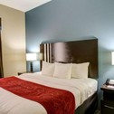 Hotel Comfort Suites Bastrop