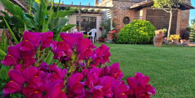 Apartments Bellavista la tua romantica vacanza sul Trasimeno